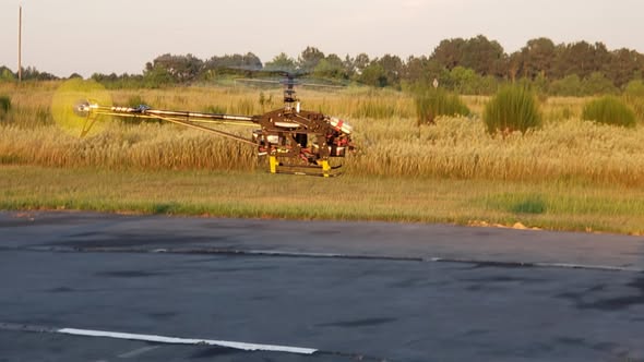 Heli flying low over the field at golden hour